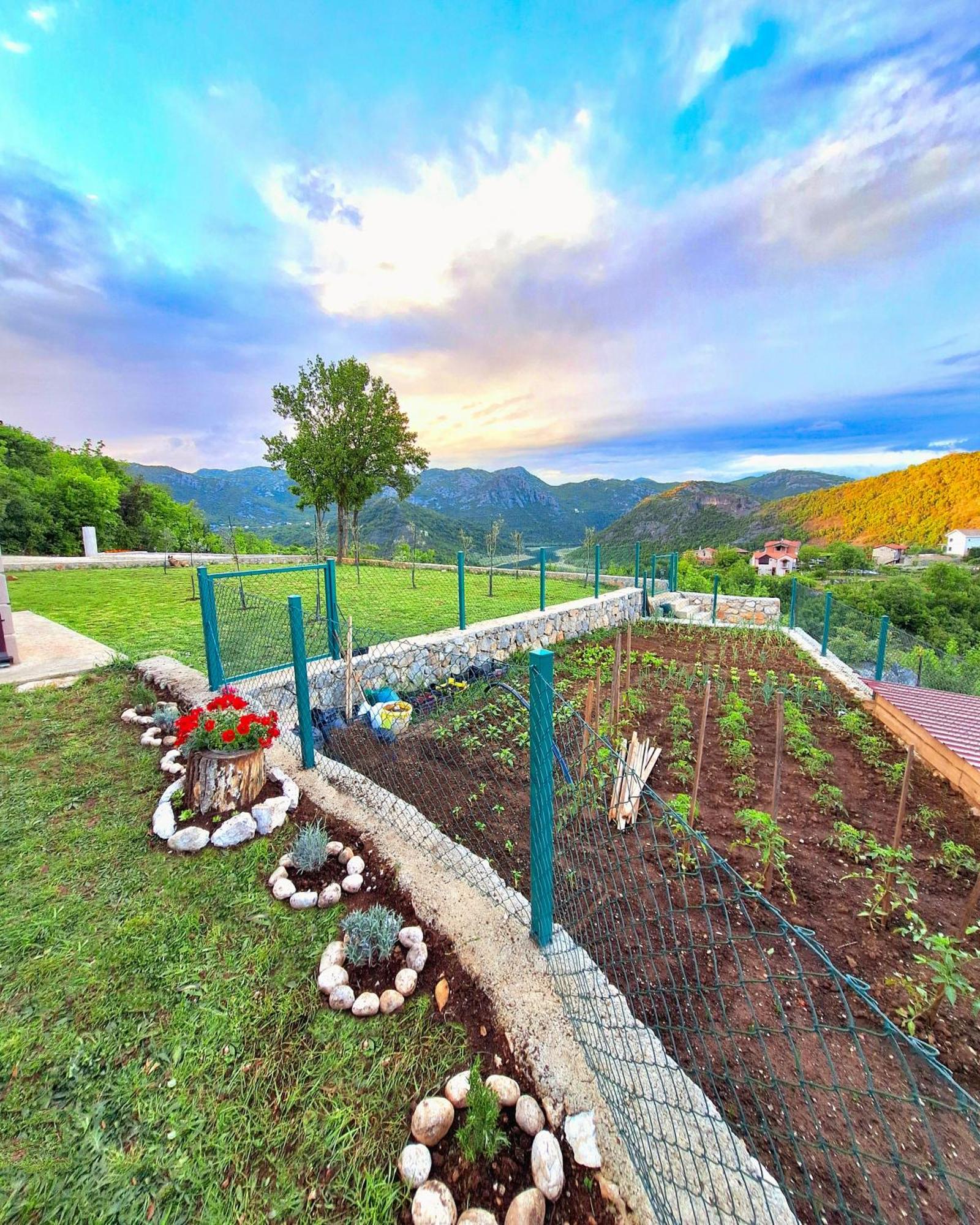 Sunny Side Apartments Rijeka Crnojevića Екстериор снимка